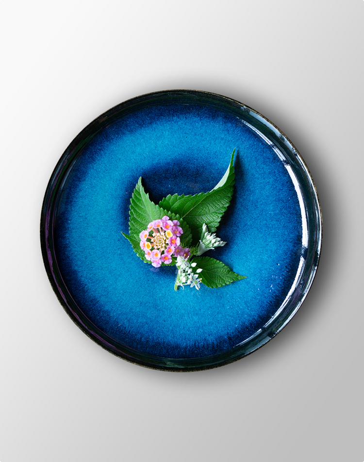 Agano-yaki Plate